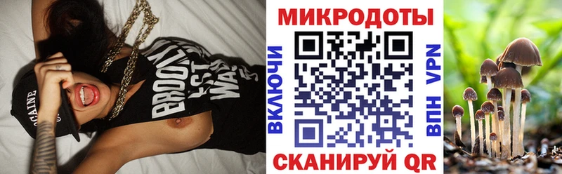 Псилоцибиновые грибы Psilocybine cubensis  Дальнереченск 